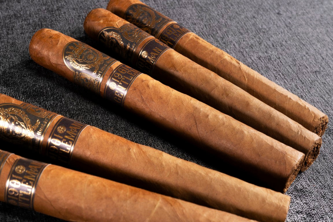 The Tesoro 1901, The Gentleman: 5-Pack of Cigars (Ecuadorian Habano)